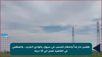 طقس حار غداً وأمطار تتسبب في سيول بالوادى الجديد.. والعظمى في القاهرة تصل إلى 35 درجة